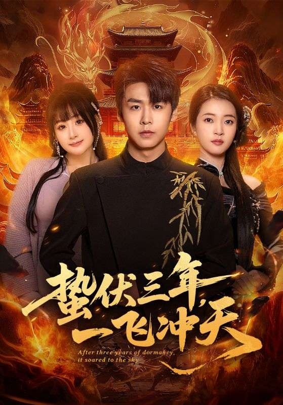 蛰伏三年,一飞冲天