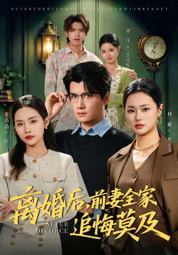 离婚后，前妻全家追悔莫及（80集）