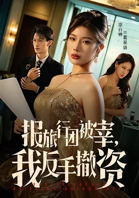 报旅行团被宰,我反手撤资(59集)