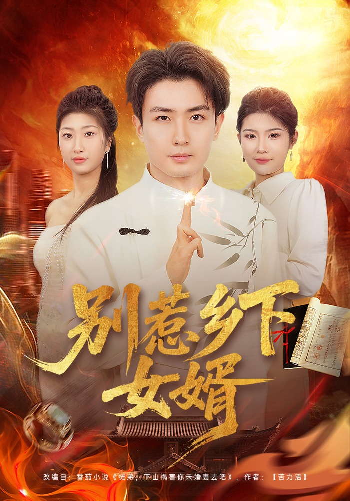 别惹乡下女婿（80集）