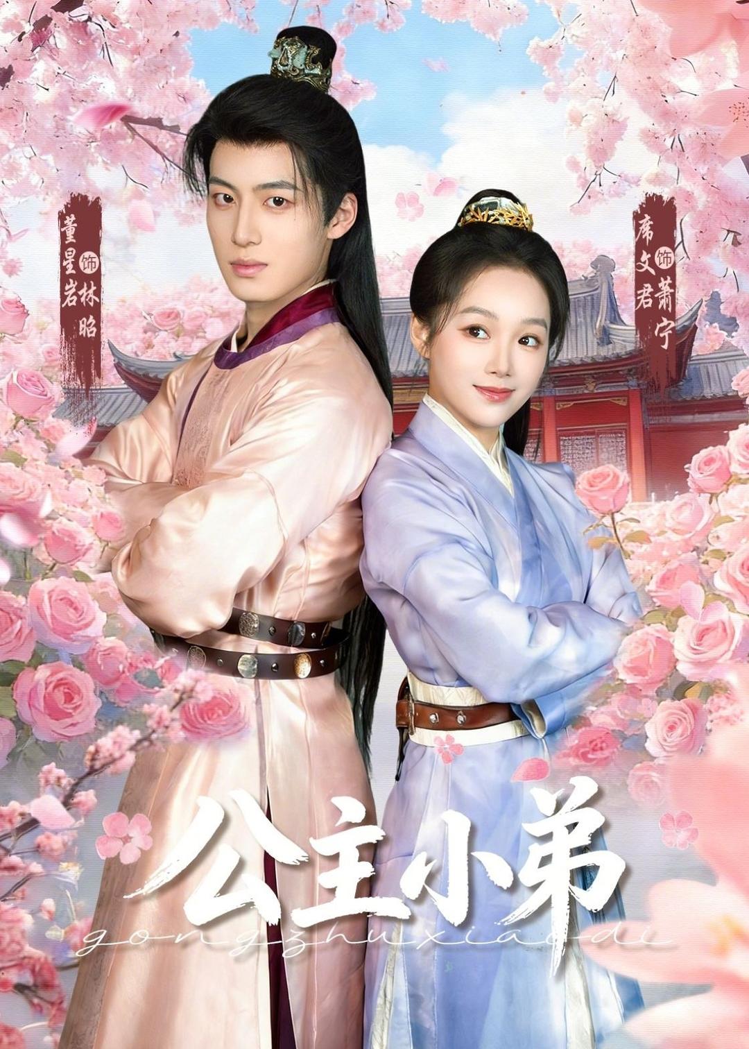 公主小弟（74集）