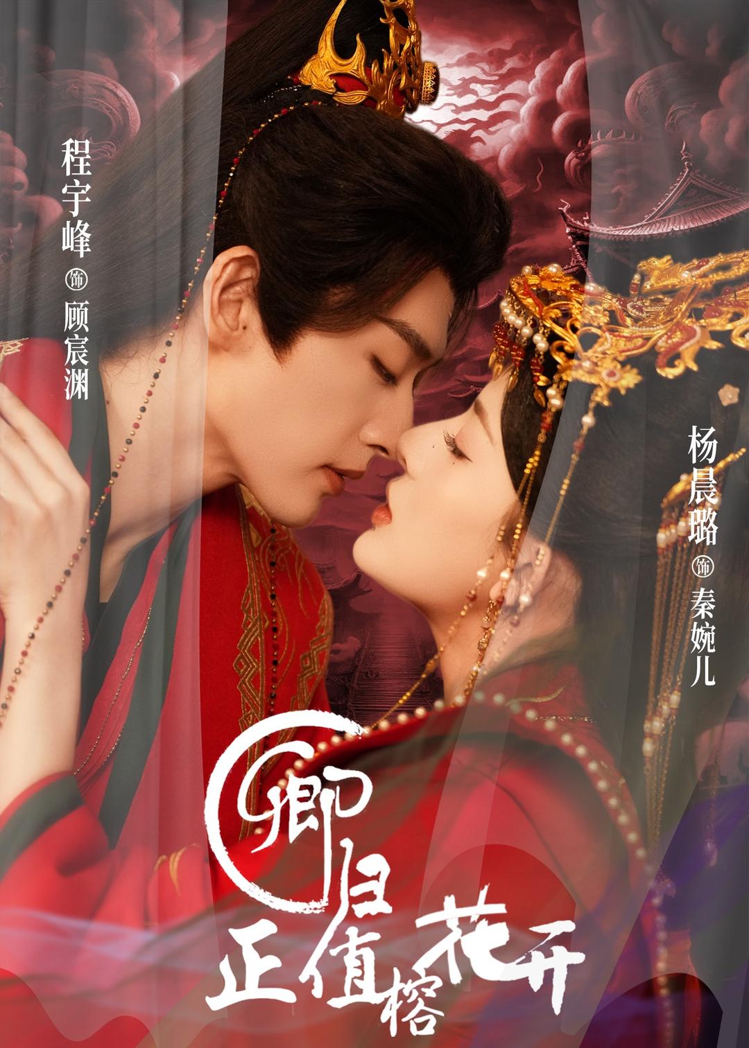 卿归正值榕花开(70集)