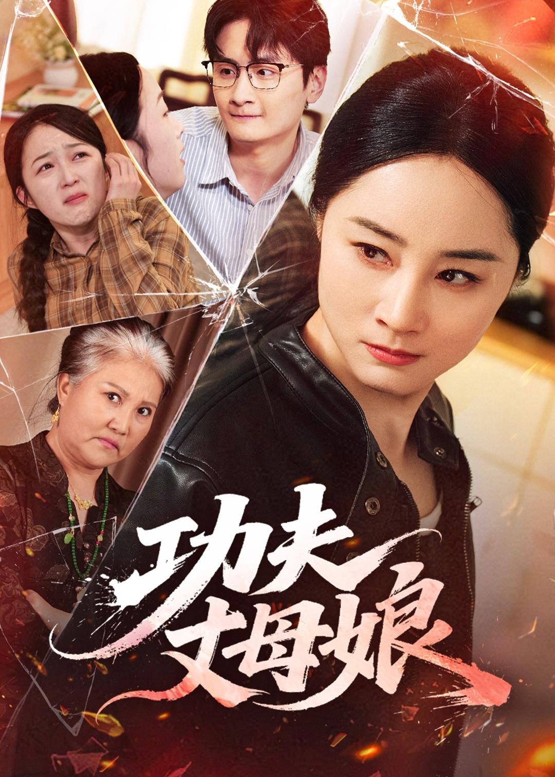 功夫丈母娘(55集)