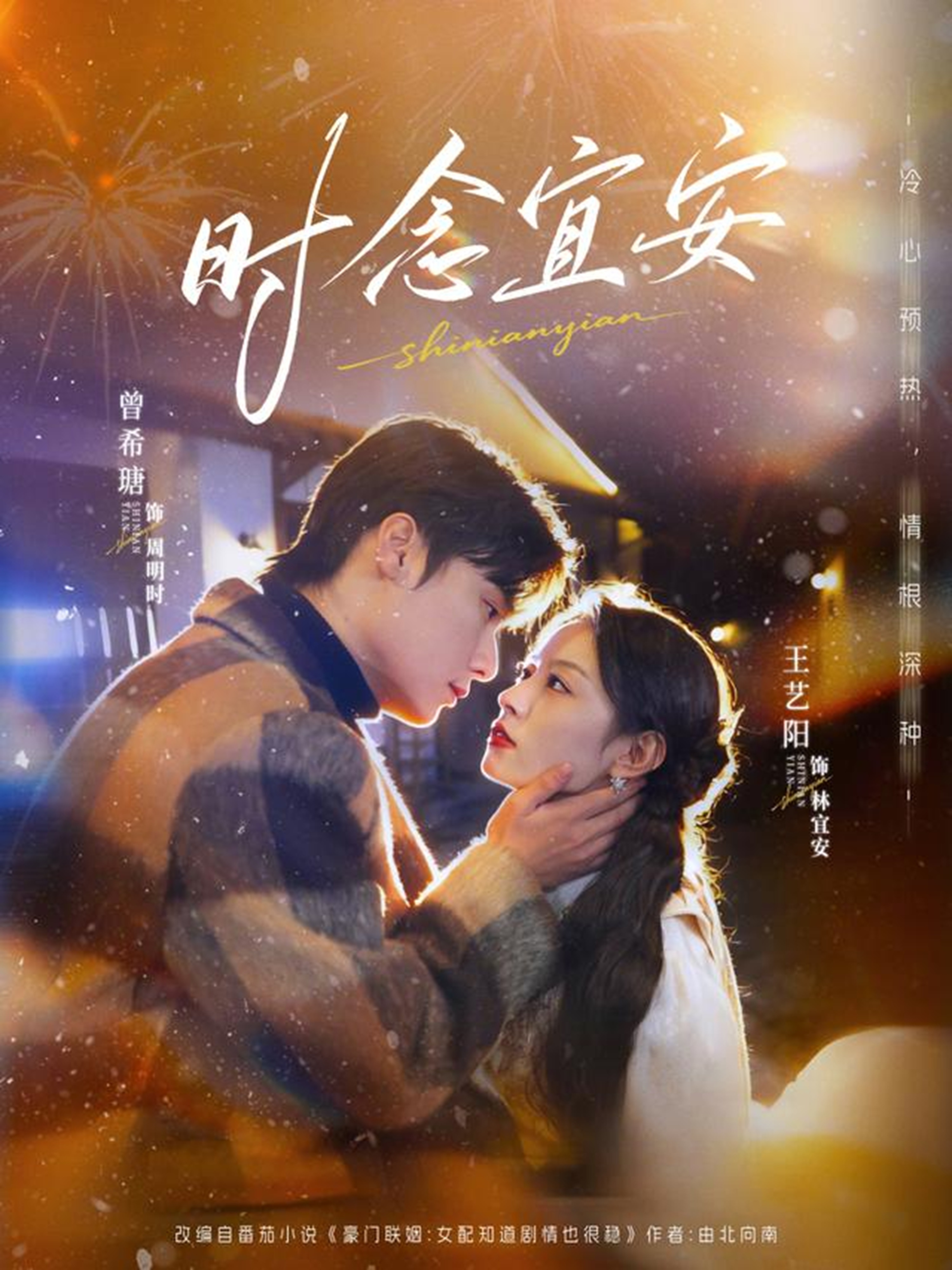时念宜安(77集)