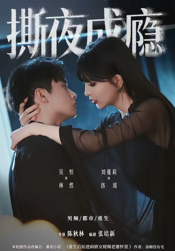 16.撕夜成瘾（74集）