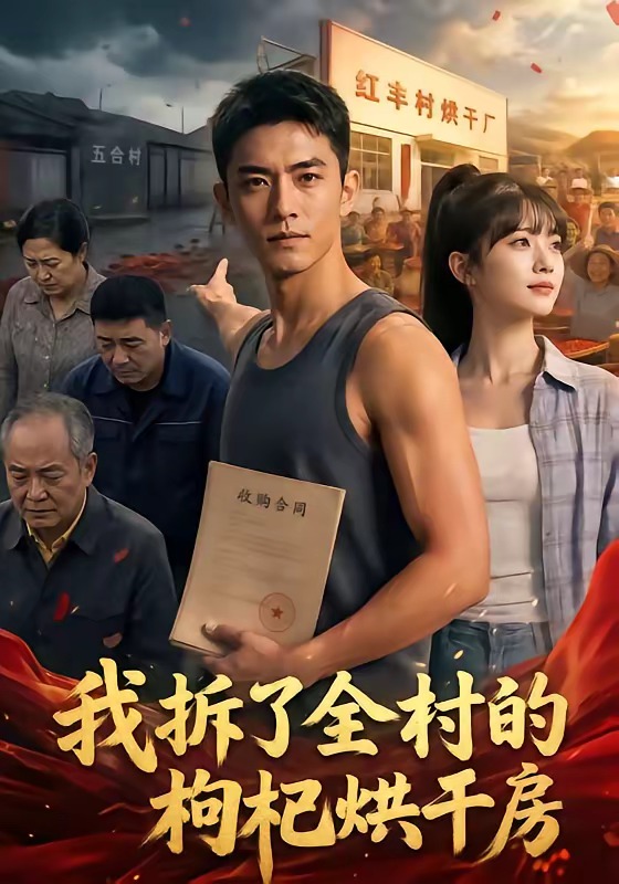 我拆了全村的枸杞烘干房(40集)
