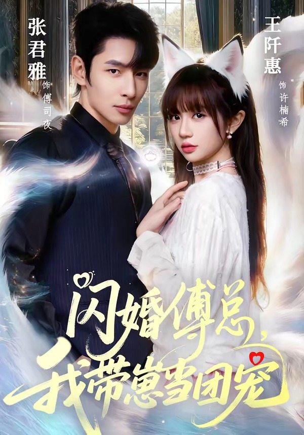 闪婚傅总，我带崽当团宠（85集）