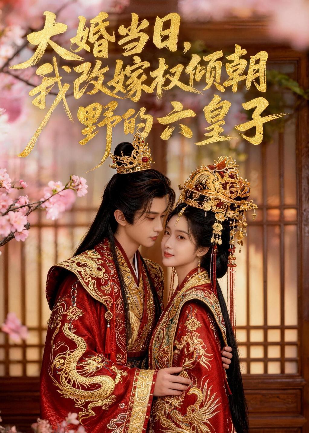 大婚当日,我改嫁权倾朝野的六皇子(30集)AI短剧