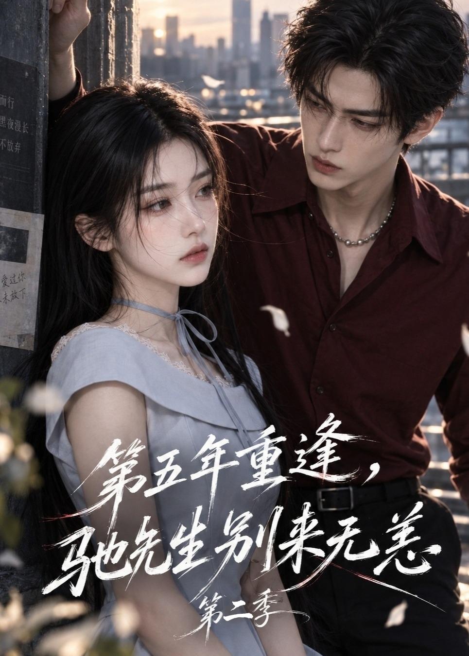 第五年重逢，驰先生别来无恙第二季（114集）
