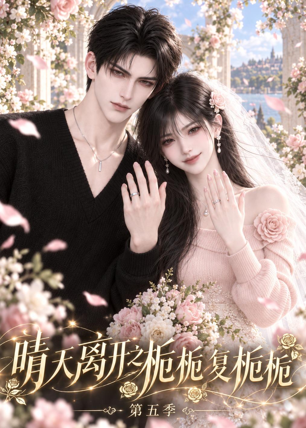 晴天离开之栀栀复栀栀第五季（117集）